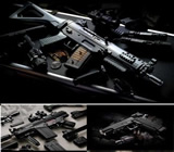 Armas e Munição em Lajeado