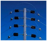 Cercas Elétricas em Lajeado