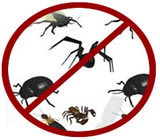 Dedetizadoras em Lajeado