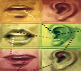 Fonoaudiologia em Lajeado