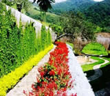 Paisagismo em Lajeado